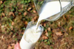 A Toast: Here's a Vitamin D fresh glass of milk for you!
