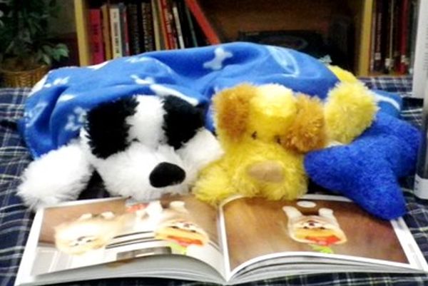 A study found that stuffed animal sleepover programs at libraries do really encourage kids to read books their stuffed animals chose from them during the sleepovers. (wikimedia)