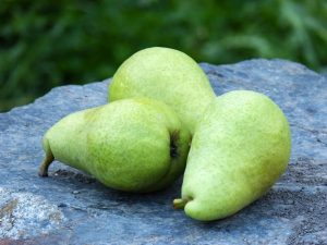 Pears made it into the 2017 dubious list of "Dirty Dozen" produce that had high pesticide residues.